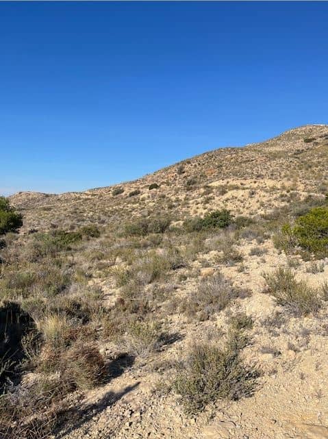 50% de finca rústica en Mutxamel, Alicante
