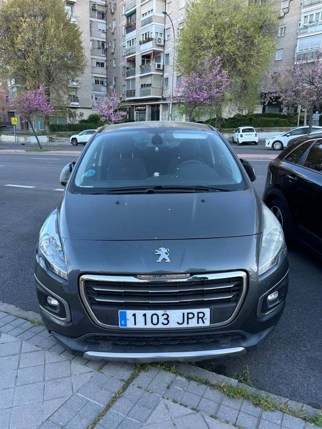 Coche Peugeot 3008 STY 16 BHDI 120
